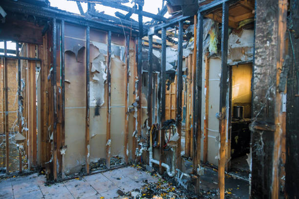 Professional Smoke Damage Removal technician working in Malaga, NJ